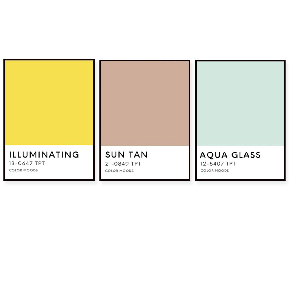 선샤인 스테이트 팔레트 컬러 프린트, 타이포그래피, 그 - Home Decor Color Palettes 리뷰 및 가격