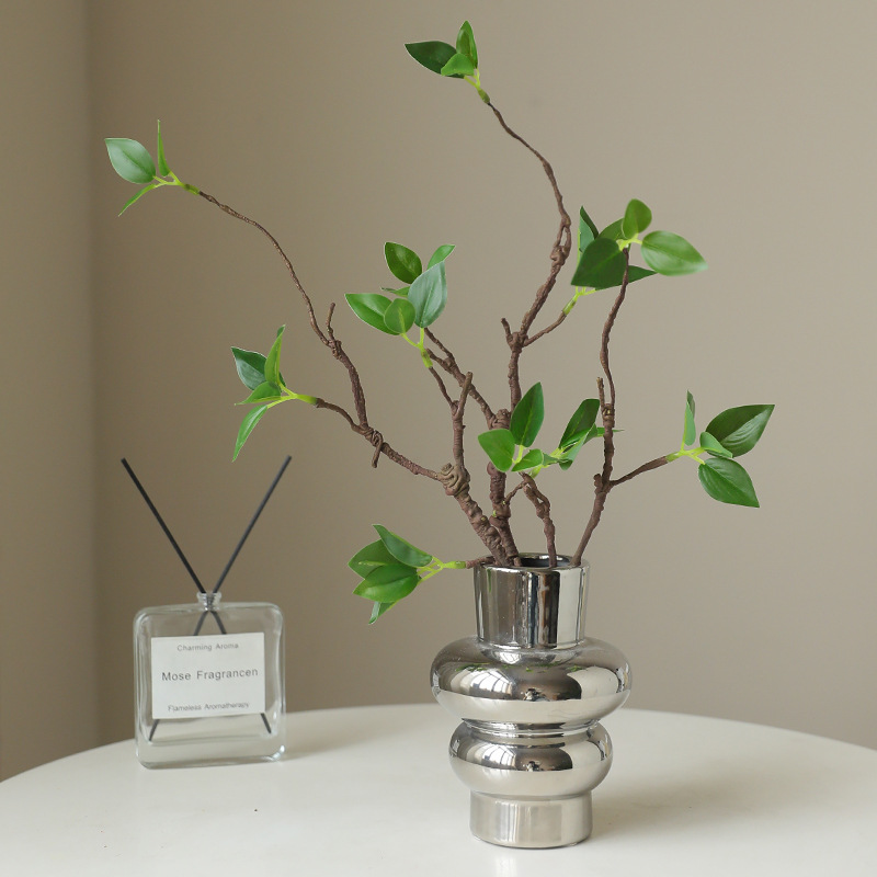선 스타일 홈 탁상 정원 창 디스플레이 장식을위한 녹색 - Home Decor Zen Style 리뷰 및 가격