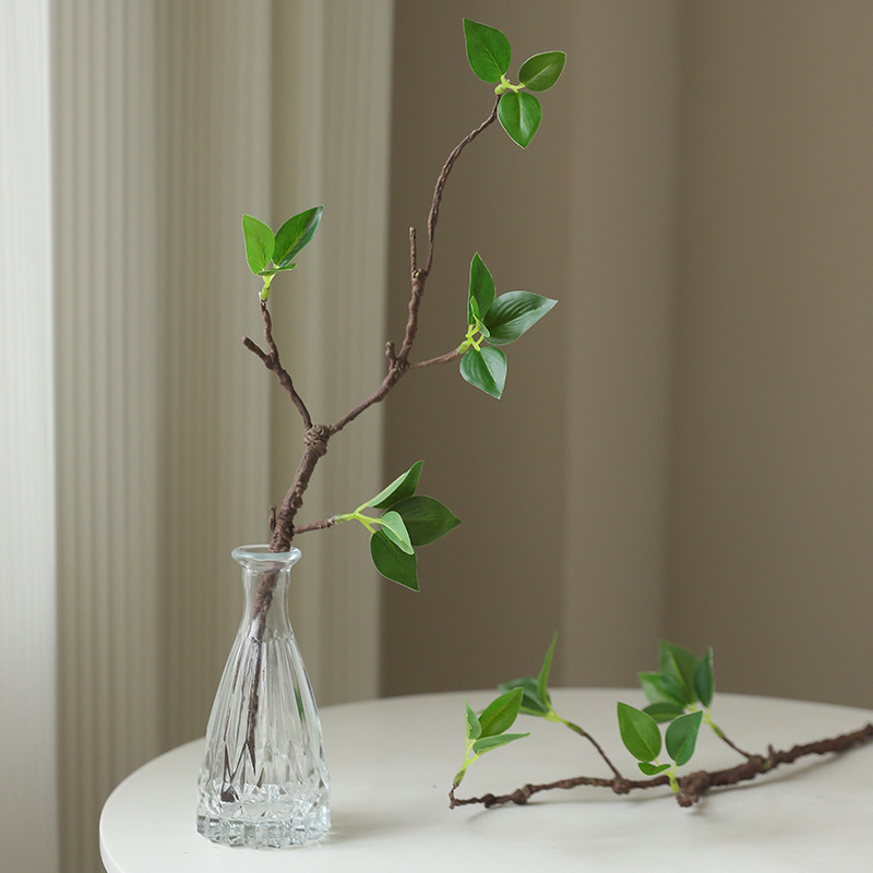 선 스타일 홈 탁상 정원 창 디스플레이 장식을위한 녹색 - Home Decor Zen Style 리뷰 및 가격
