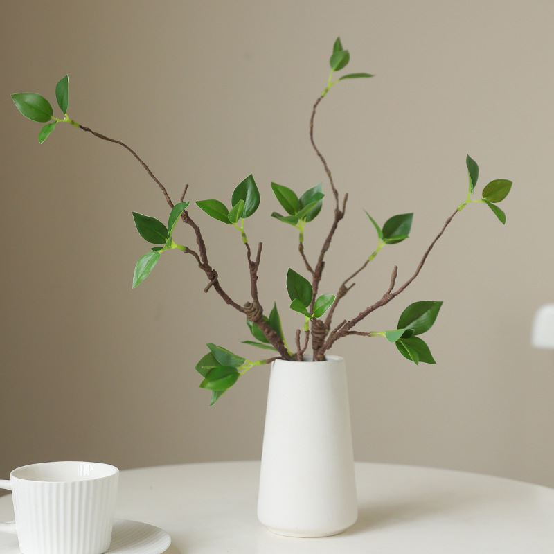 선 스타일 홈 탁상 정원 창 디스플레이 장식을위한 녹색 - Home Decor Zen Style 리뷰 및 가격