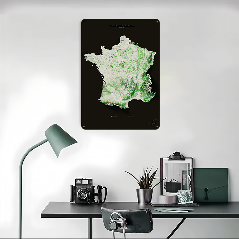 마시프 포레스티에르 프랑? ?ais 포스터 맞춤형 벽  - Home Decor Ai 리뷰 및 가격